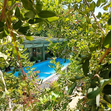 Silk Island Homestay Phnom Penh Exterior foto